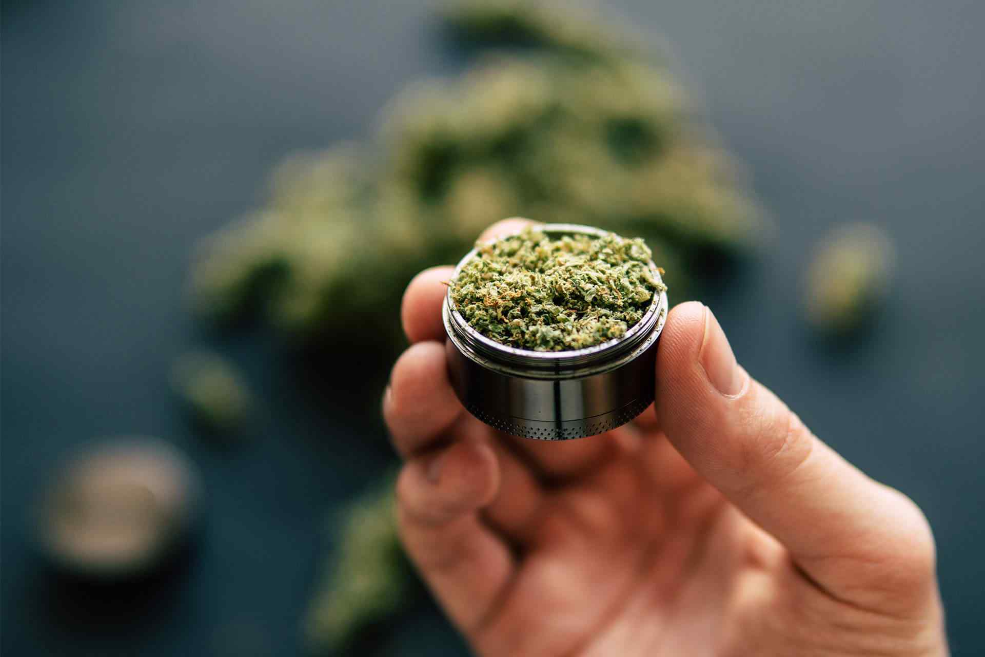 background_consultants_02 https://torontoterpenes.com/wp-content/uploads/2018/12/background_consultants_02.jpg